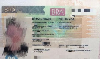 巴西商務簽證辦理全攻略 如何成功申請三年多次往返簽證