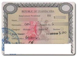 廣州專業(yè)代辦烏干達商務(wù)簽證 高效特快服務(wù)全攻略